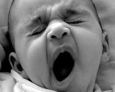 Dormiglioni? Tutta questione di genetica