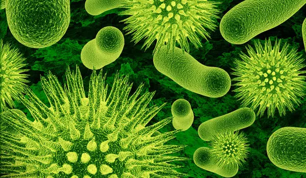 Arrivano in Italia nuovi superbatteri: strutture sanitarie in allerta