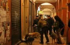 Bologna, Via Petroni: abolita la chiusura ad orari differenziati