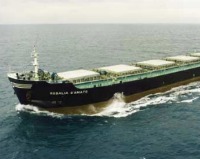 Liberata la nave italiana Rosalia D'Amato