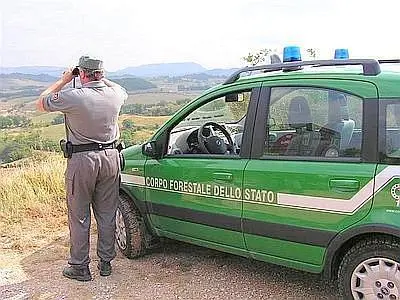 Cronaca: il Corpo Forestale sequestra 900 chili di alimenti scaduti e senza etichetta