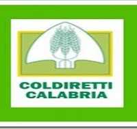 Coldiretti Calabria:al via i contratti di coltivazione della cooperativa "Il granaio della Calabria"