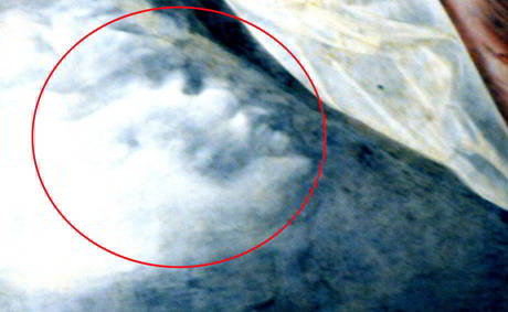 Assisi, un demone nell'affresco di Giotto