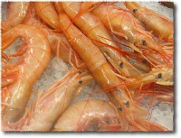 Condanna per il ladro di gamberoni