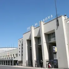 Arte e cultura nella città del Santo: un successo inaspettato