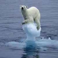 Allarme Onu sul clima