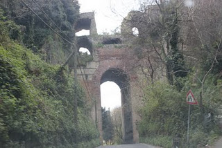 Arco Felice, il maltempo abbatte un albero. Un morto