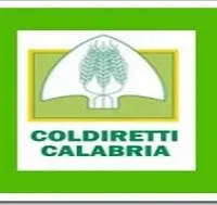 Coldiretti Calabria: da domani si stappa il vino novello 2011