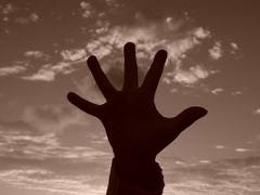 Libertà di imparare...e poi?