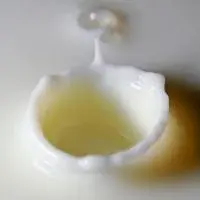 Ambiente e prodotti tessili: vestiti dal latte