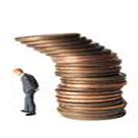 Tagli agli sprechi dello Stato. Troppe polizie in Italia