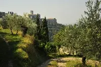 Assisi, Il Bosco di San Francesco riapre al pubblico