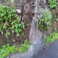 Catanzaro: quartiere al degrado, Pontegrande fogna a cielo aperto