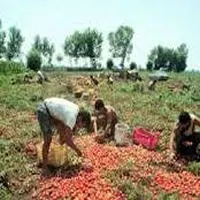 Lavoro Sommerso: rapporto Calabria, domani la presentazione a Roma