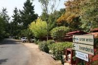 Muore giovane turista dopo una festa in campeggio