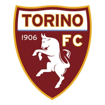 Calcio serie B: il Torino batte per 2-1 la Nocerina