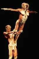 Body Worlds et voila'... il morto e' arte