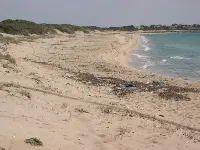 Ambiente: allarmante relazione sui mari europei del progetto internazionale "CLAMER"