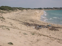 Ambiente: allarmante relazione sui mari europei del progetto internazionale "CLAMER"