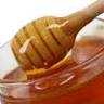 La Corte europea vieta la vendita di miele geneticamente modificato