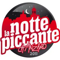 Notte Piccante: Catanzaro presa d'assalto dai camperisti