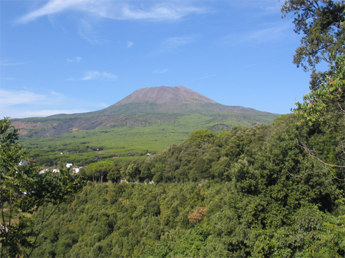 Incendio nel Parco Nazionale del Vesuvio