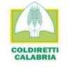 Coldiretti Calabria: approvazione  consiglio regionale delle mozioni sull'agrumicoltura