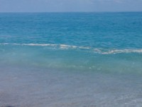 Mare sporco nel Tirreno cosentino: le proteste dei cittadini