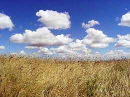 Abbronzatura. Come evitare di farsi male sul serio in spiaggia