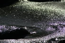 Marenero, il lato oscuro della politica