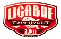 Ligabue in concerto al Campovolo, scelte le band supporter