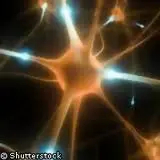 Parkinson: presto possibile nuova cura