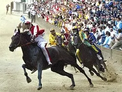 Al via il Palio di Siena 2011