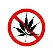 Mungo "Un grazie Infinito a chi quotidianamente lotta contro la droga"
