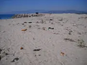 Antonio Tarantino su Traversa, spiaggia Giovino le immagini dicono cose diverse