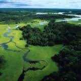 Amazzonia: al via la costruzione della terza diga più grande al mondo. Tribù in rivolta.