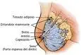 Tumore al seno: scoperta nuova molecola