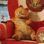 Garfield 3D