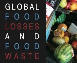 Sprechi alimentari, un'iniqua distribuzione delle risorse in un mondo indifferente.