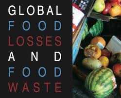 Sprechi alimentari, un'iniqua distribuzione delle risorse in un mondo indifferente.