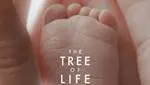 The tree of life