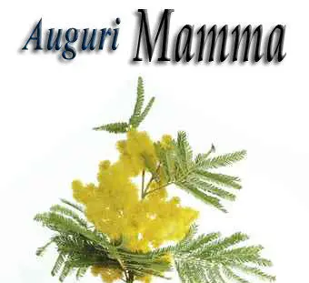 MAMMA TANTI AUGURI, 8 MAGGIO 2011