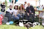 Traversa e Ferro con le associazioni animaliste per promuovere la cultura dell'adozione