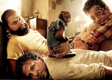 Un'altra notte da leoni