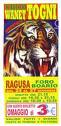 Dipendenti circo ridotti in schiavitù, 2 arresti