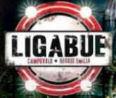 Campovolo 2.0: l'Evento di Ligabue del 2011!