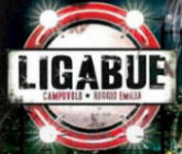 Campovolo 2.0: l'Evento di Ligabue del 2011!