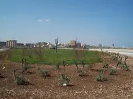 Parco di Punta Perotti al buio: si muove il Comune