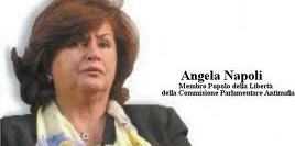 Angela Napoli rifiuta l'invito Fli a Sindaco: "Non mi candido, voto inquinato dalla 'ndrangheta"