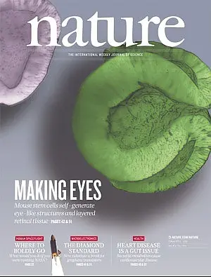 Il primo occhio in provetta dalle staminali